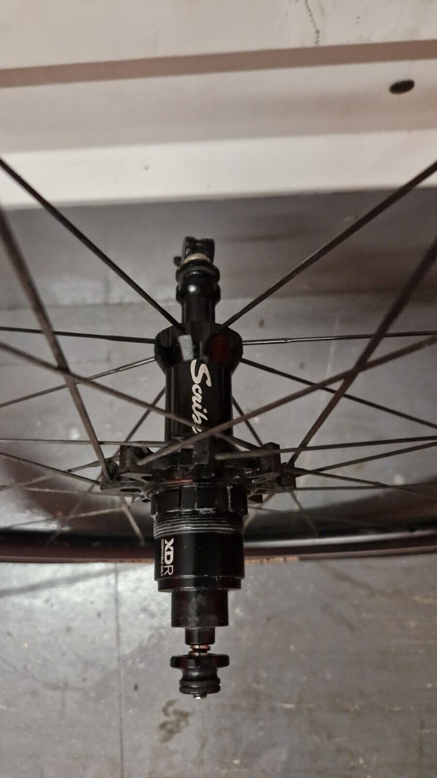 SCRIBE RACE ALLOY WHEELSET, SHIMANO AND XDR FREEHUB, RIM BRAKE (1,454g)