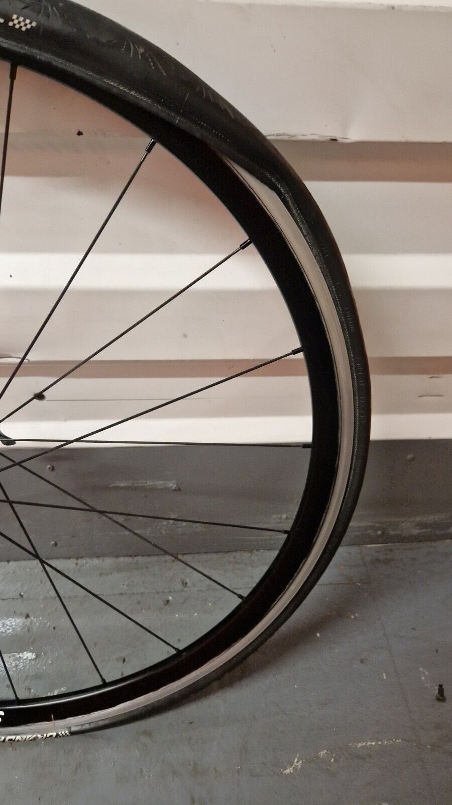 SCRIBE RACE ALLOY WHEELSET, SHIMANO AND XDR FREEHUB, RIM BRAKE (1,454g)
