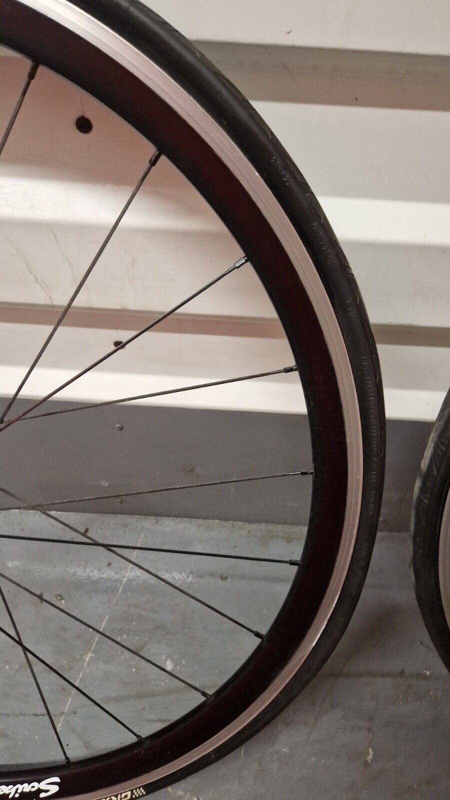 SCRIBE RACE ALLOY WHEELSET, SHIMANO AND XDR FREEHUB, RIM BRAKE (1,454g)